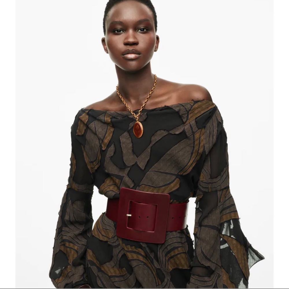 Zara limited edition studio printed maxi dress